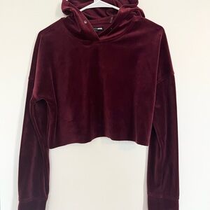 Fashion Nova Velour Cropped Hoodie